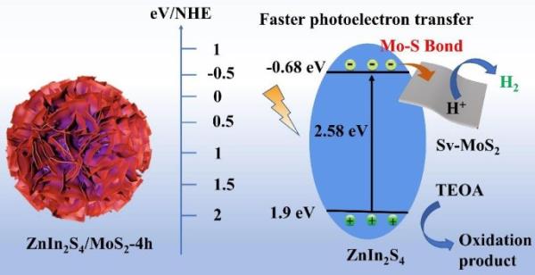 具有细微原子级密切接触的ZnIn2S4/Sv-MoS2光催化剂的构建:增强界面相互作用以改善可见光下光催化H2的析出 