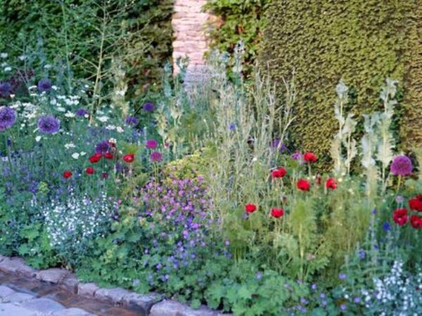 A densely planted border. Picture: Alamy/PA